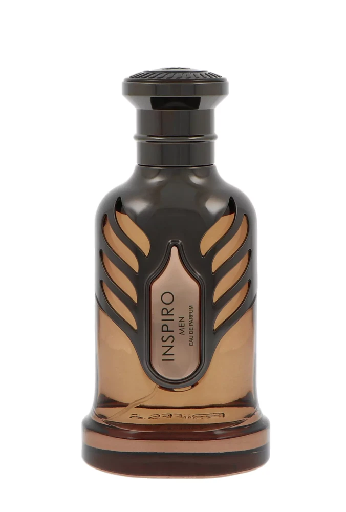 Riiffs Inspiro Men EDP parfumuotas vanduo vyrams, 100 ml