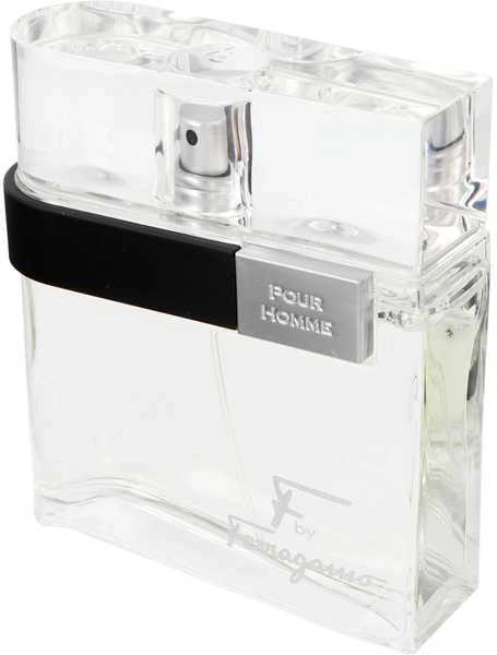 Kvepalai vyrams Salvatore Ferragamo F EDT 100ml