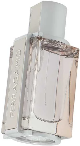 Salvatore Ferragamo Bright Leather Homme tualetinis vanduo Vyrams 50ml