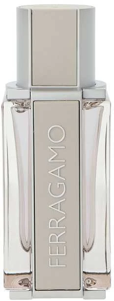 Salvatore Ferragamo Bright Leather Homme tualetinis vanduo Vyrams 50ml