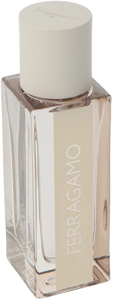 Salvatore Ferragamo Bright Leather EDT tualetinis vanduo vyrams, 30 ml