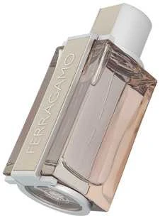 Salvatore Ferragamo Bright Leather Homme tualetinis vanduo vyrams 100ml
