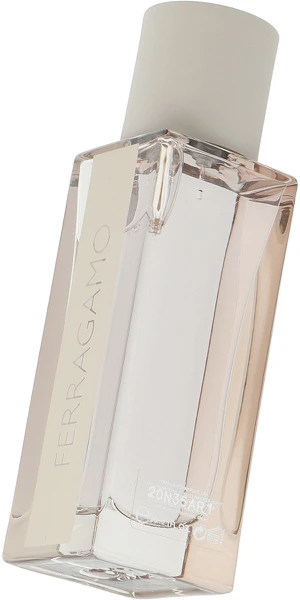 Salvatore Ferragamo Bright Leather EDT tualetinis vanduo vyrams, 30 ml