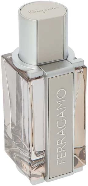 Salvatore Ferragamo Bright Leather Homme tualetinis vanduo Vyrams 50ml