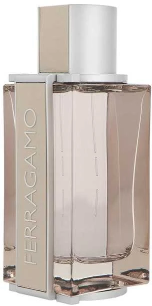 Salvatore Ferragamo Bright Leather Homme tualetinis vanduo vyrams 100ml