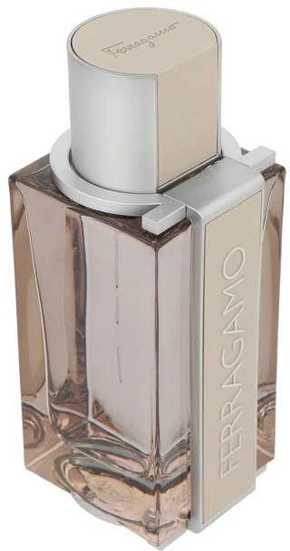 Salvatore Ferragamo Bright Leather Homme tualetinis vanduo vyrams 100ml