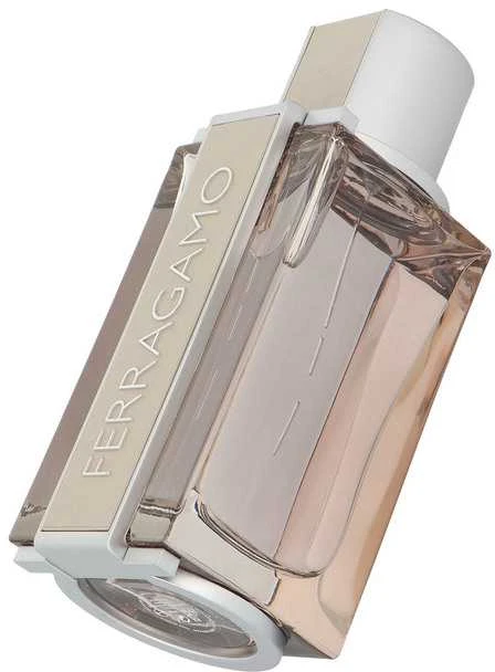 Salvatore Ferragamo Bright Leather Homme tualetinis vanduo vyrams 100ml