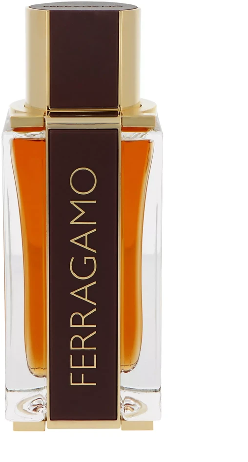 Salvatore Ferragamo Ferragamo Ferragamo Spicy Leather PP kvepalai vyrams, 100 ml