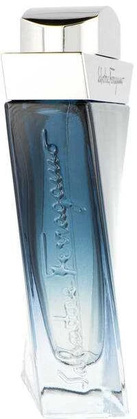 Salvatore Ferragamo Subtil Pour Homme EDT tualetinis vanduo vyrams, 100 ml