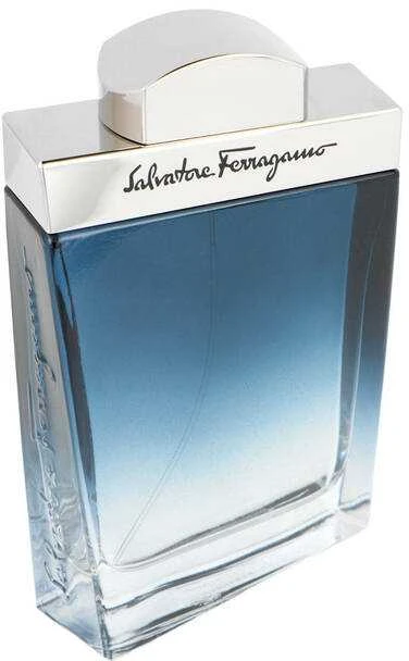 Salvatore Ferragamo Subtil Pour Homme EDT tualetinis vanduo vyrams, 100 ml