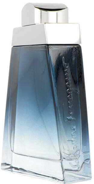Salvatore Ferragamo Subtil Pour Homme EDT tualetinis vanduo vyrams, 100 ml