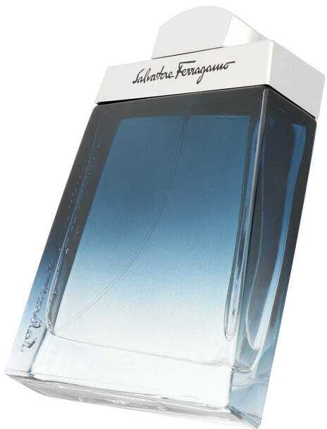 Salvatore Ferragamo Subtil Pour Homme EDT tualetinis vanduo vyrams, 100 ml