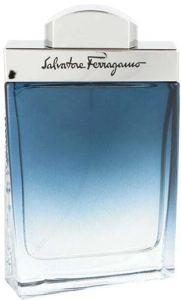 Salvatore Ferragamo Subtil Pour Homme EDT tualetinis vanduo vyrams, 100 ml