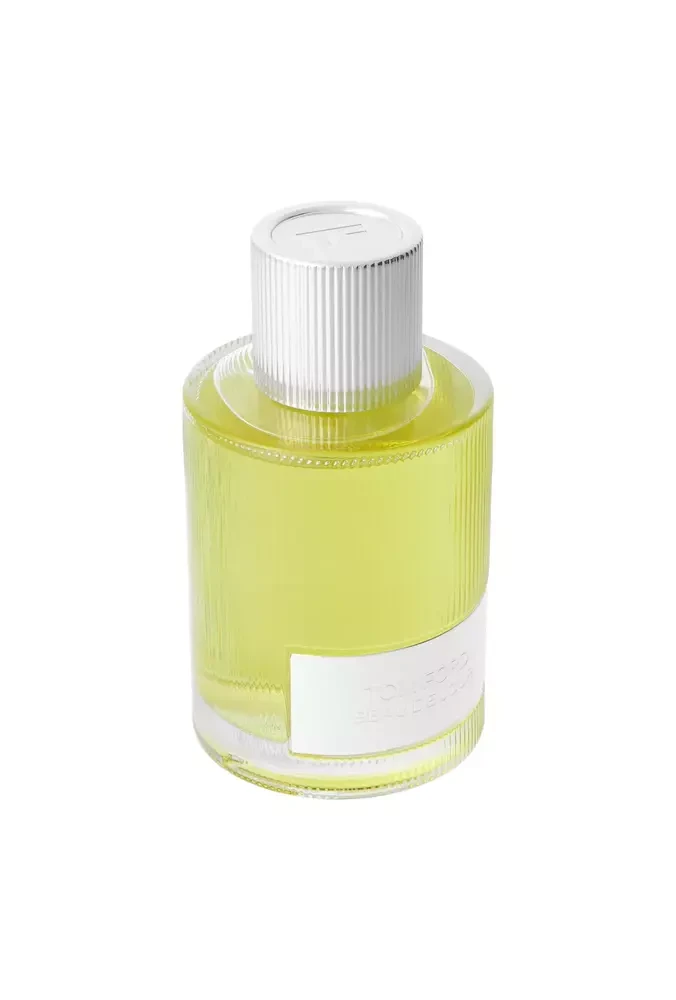 Tom Ford Beau De Jour EDP parfumuotas vanduo unisex, 100 ml