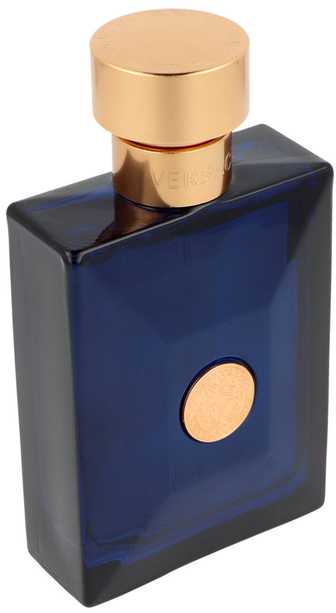 Kvepalai vyrams Versace Dylan Blue Pour Homme EDT, 100 ml