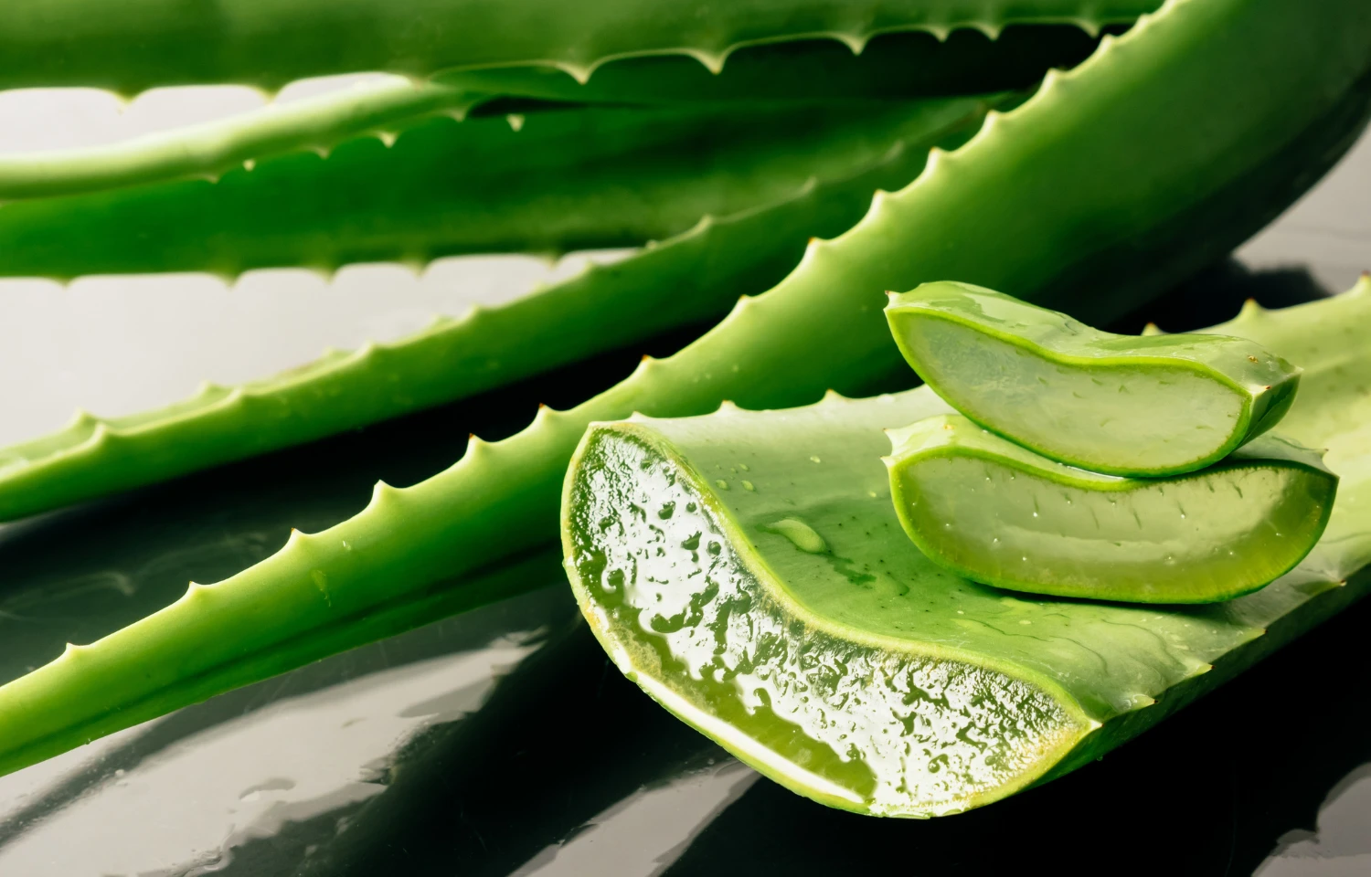 Čiužinys Antčiužinis RIPOSO ALOE VERA 5 сm storio 160x200 cm aprašymas - Prekės nuotrauka
