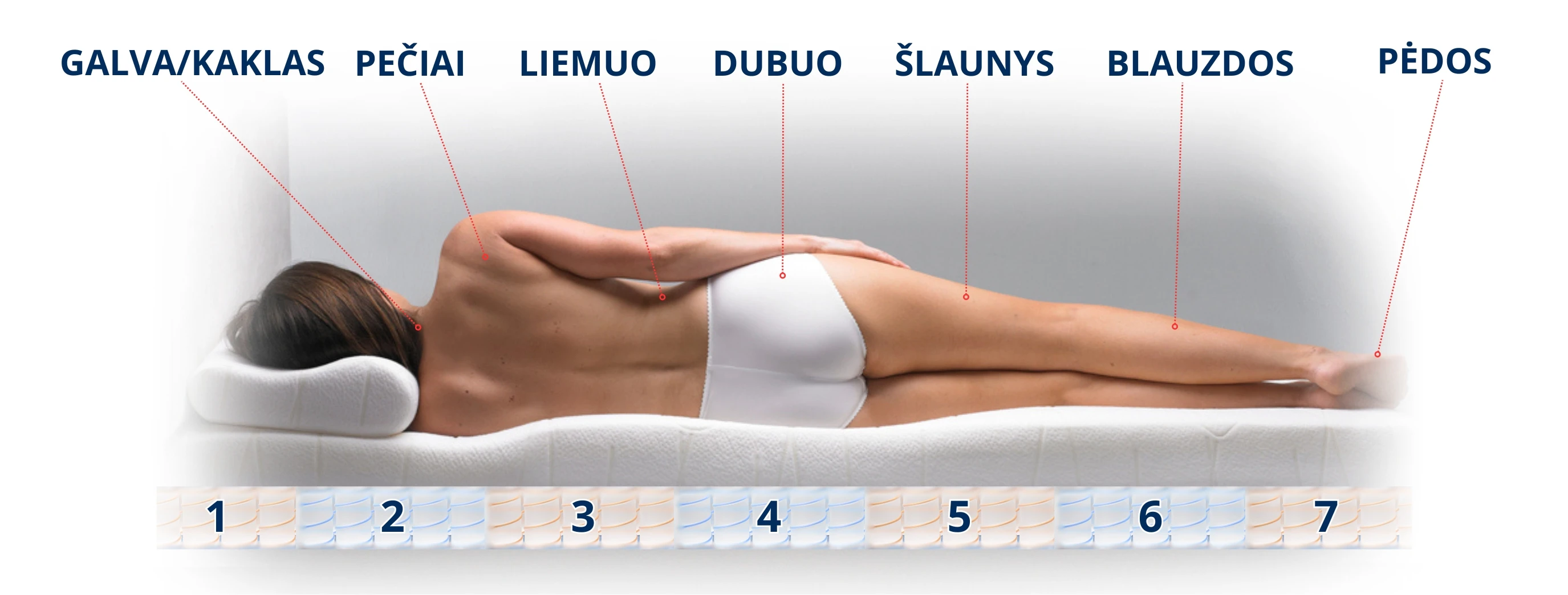 Čiužinys Antčiužinis RIPOSO ALOE VERA 5 сm storio 160x200 cm aprašymas - Prekės nuotrauka