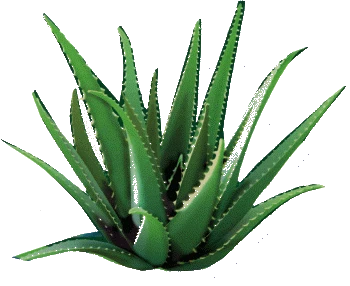 RIPOSO trisluoksnė pagalvė 3-LAYER 60x35 cm aprašymas - Prekės nuotrauka