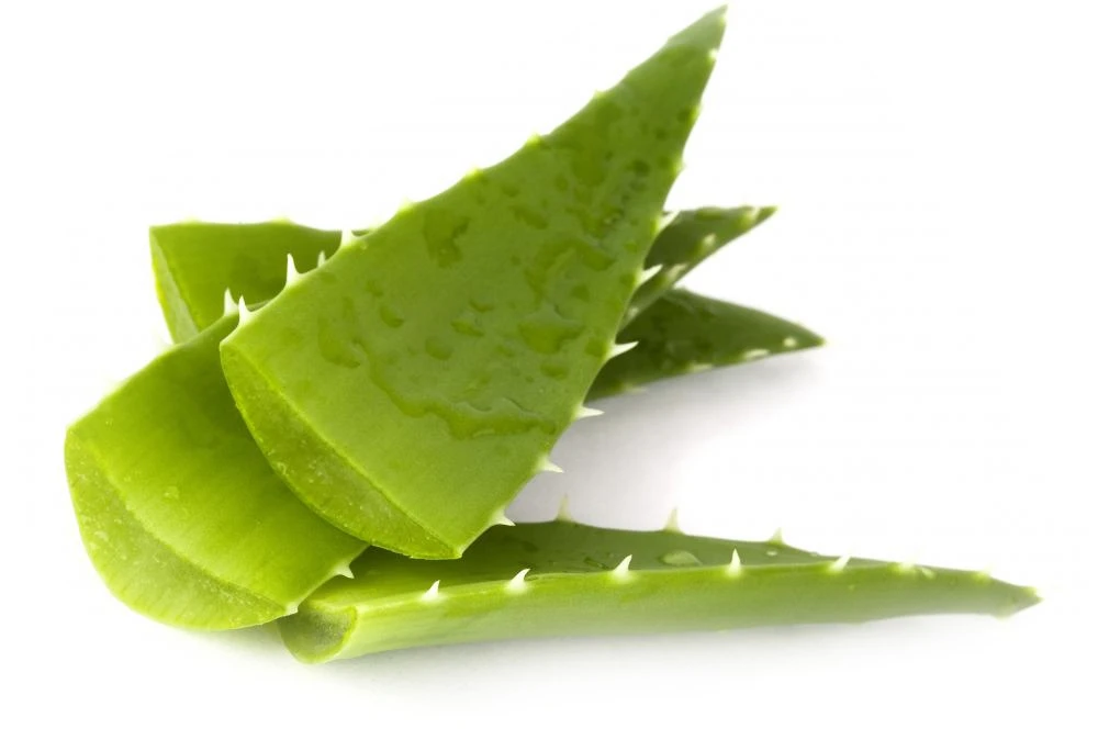 RIPOSO trisluoksnės pagalvės užvalkalas su Aloe Vera aprašymas - Prekės nuotrauka