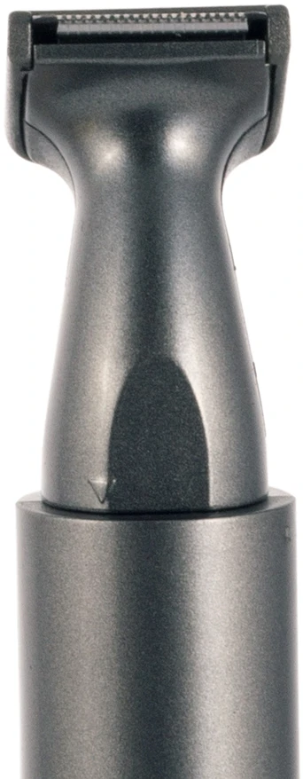 Barzdaskutė Kamille Riposo Trimeris, R-6807