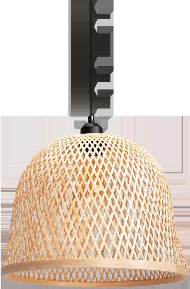 Toolight Boho pakabinamas šviestuvas APP1336-1CP
