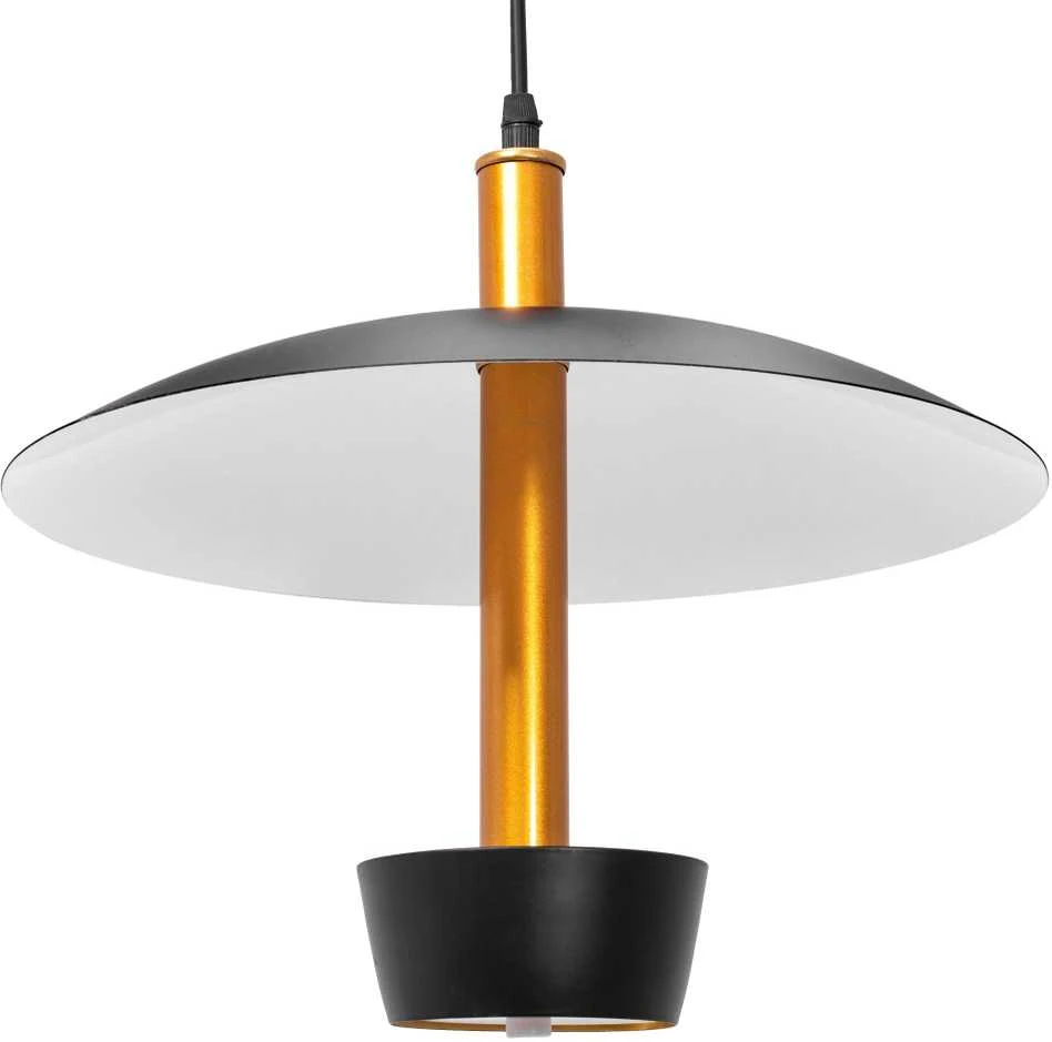 Toolight Pakabinamas šviestuvas APP914-1CP