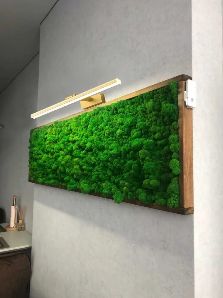 Sieninis šviestuvas Toolight Sieninė lempa Gold 60cm APP834-1W