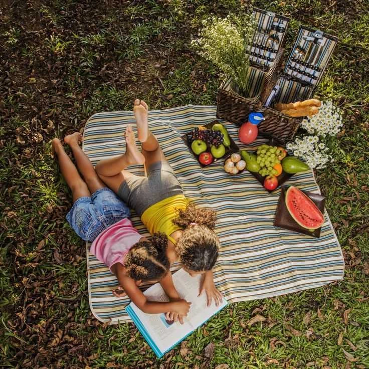 Tutumi Pikniko antklodė Grille Mėlyna