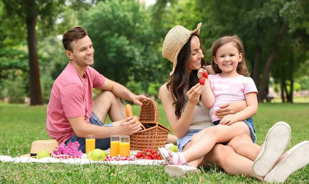 Tutumi Pikniko antklodės grotelės pilkos spalvos