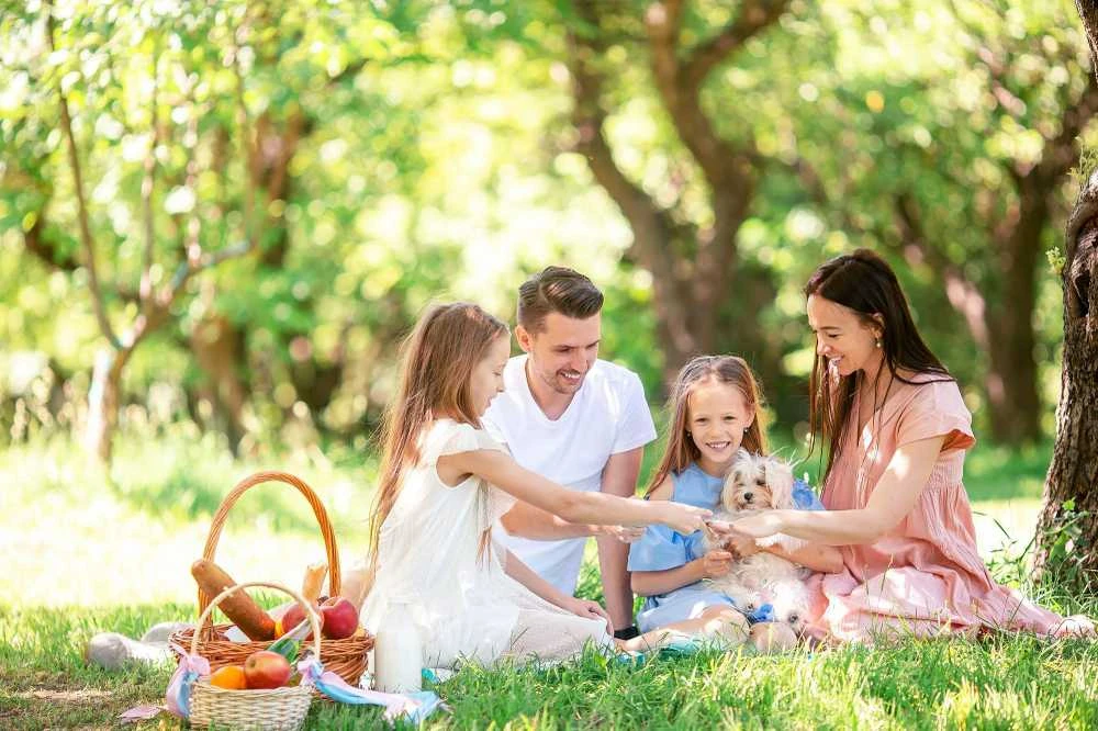 Tutumi Pikniko antklodės grotelės pilkos spalvos