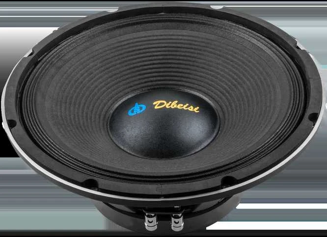 Dibeisi Oem Garsiakalbis DBS-PS1205 12 colių - 8 omai