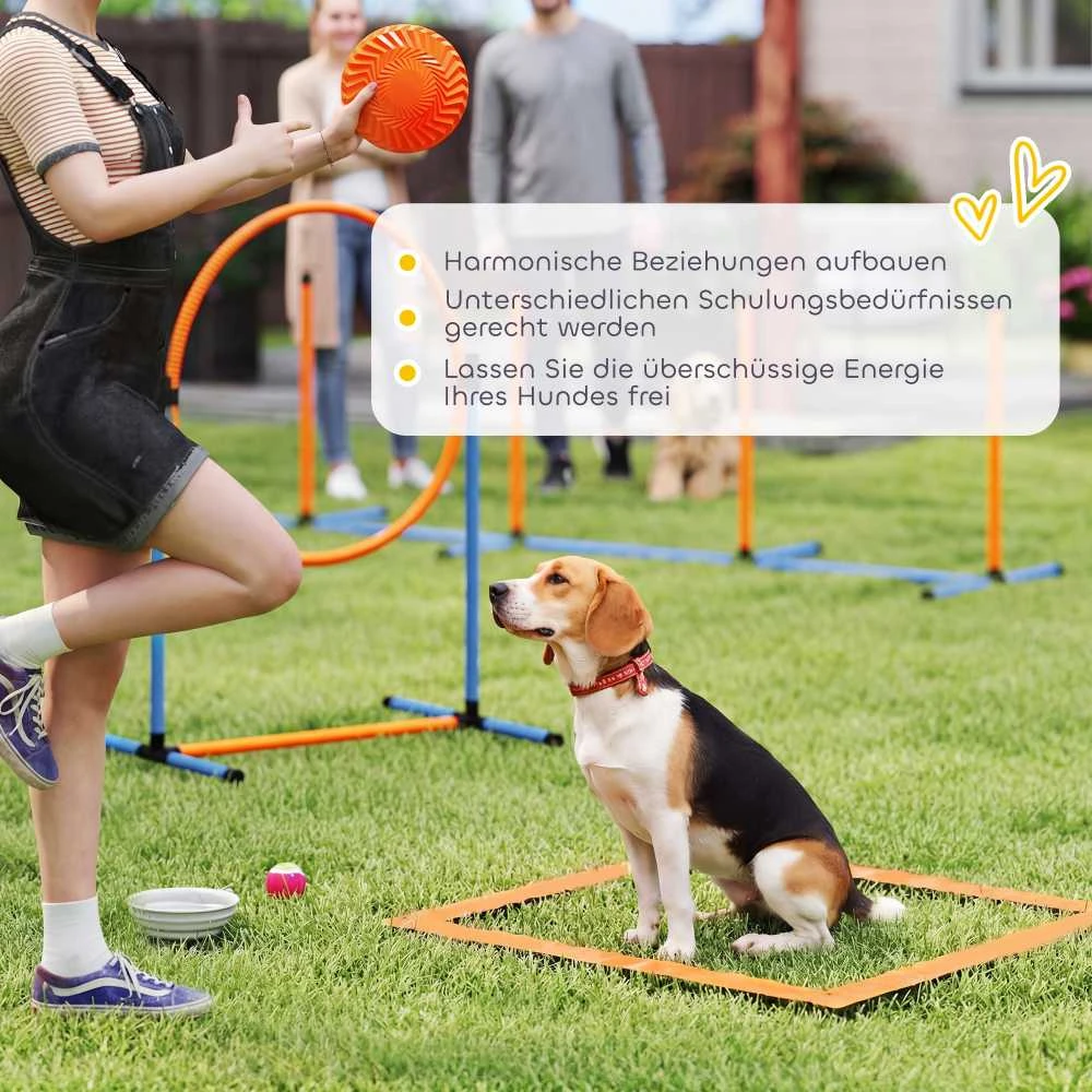 Agility rinkinys 11 vnt.