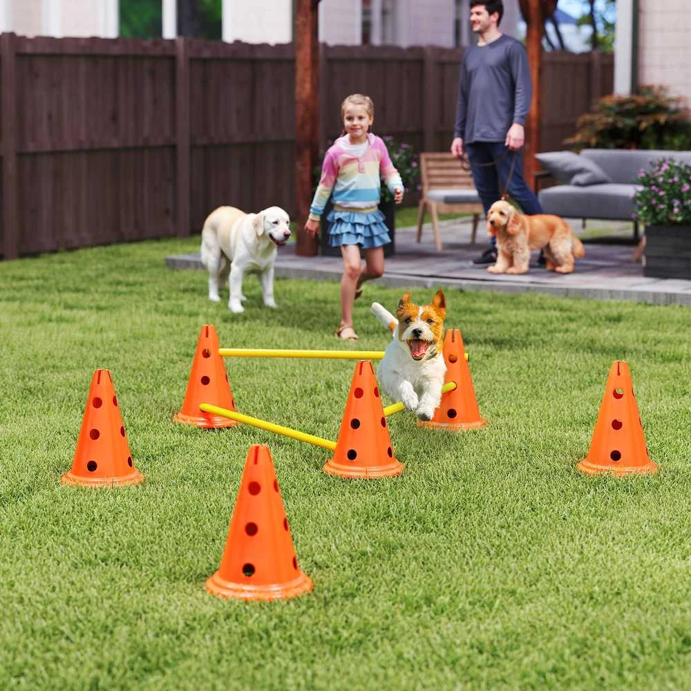 Agility rinkinys 80 × 22,5 × 30 cm