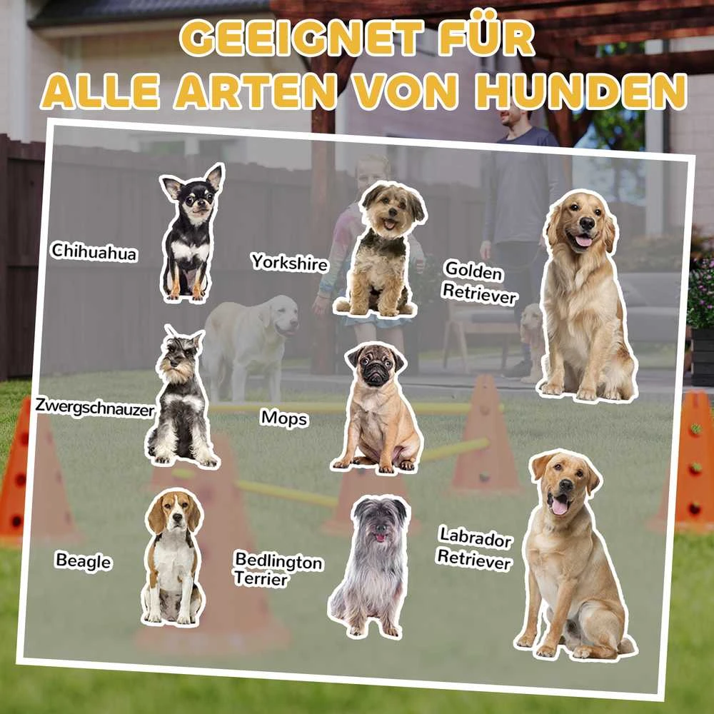 Agility rinkinys 80 × 22,5 × 30 cm