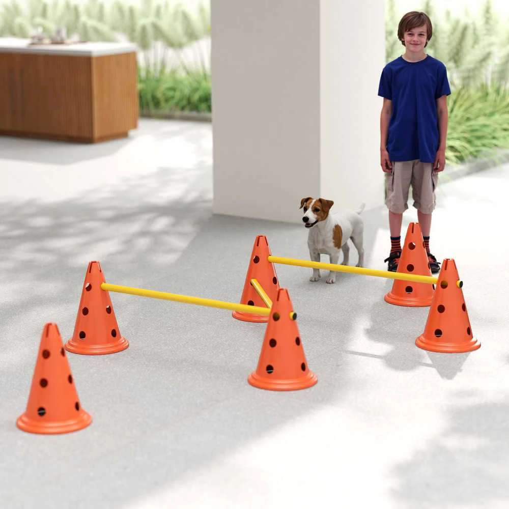 Agility rinkinys 80 × 22,5 × 30 cm