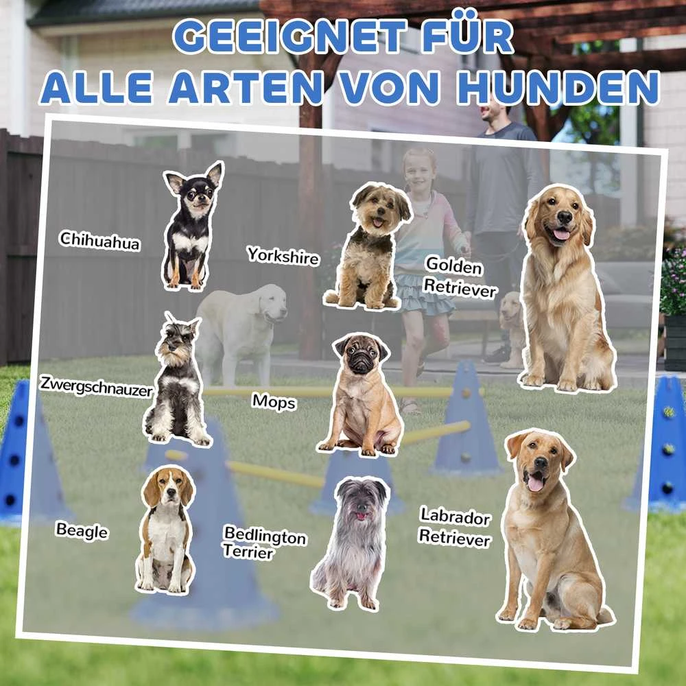 Agility rinkinys 80 × 22,5 × 30 cm