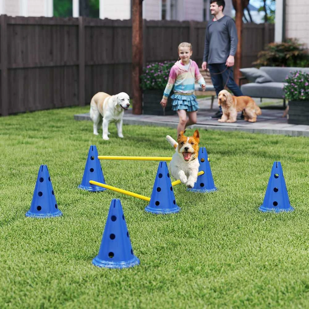 Agility rinkinys 80 × 22,5 × 30 cm