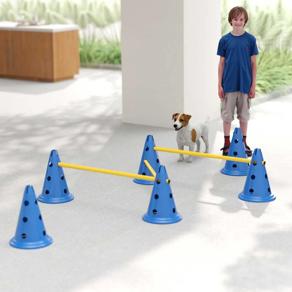 Agility rinkinys 80 × 22,5 × 30 cm