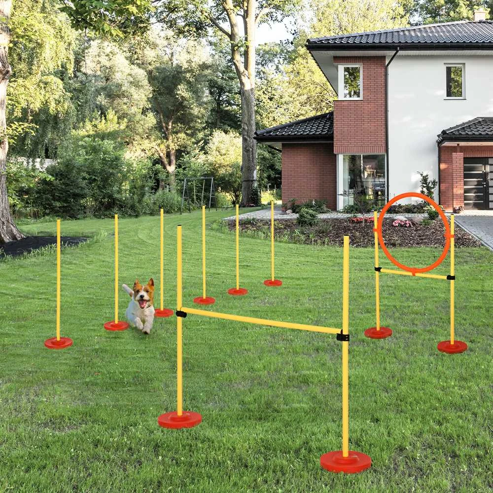 PawHut 3-in-1 šunų dresūros ir vikrumo (agility) rinkinys su kliūtimis, su krepšiu, lengvai nešiojamas, geltonas