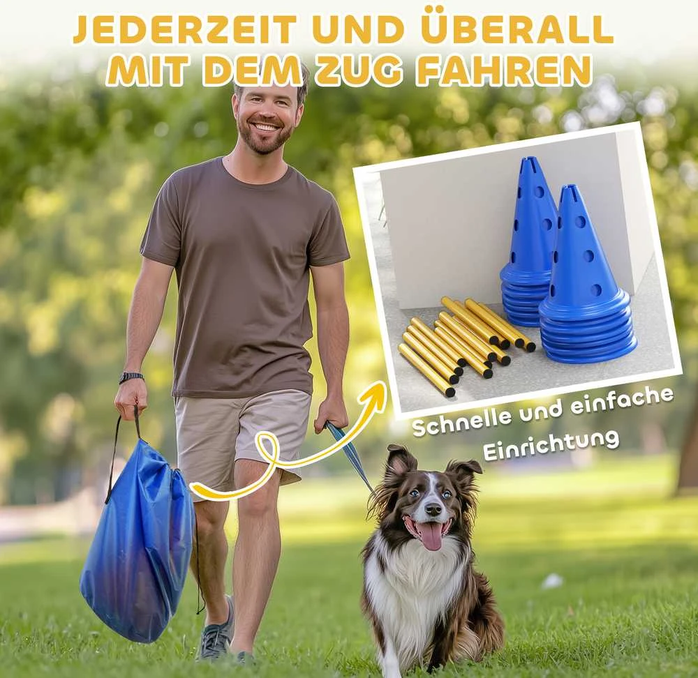 Agility rinkinys mėlyna ir geltona
