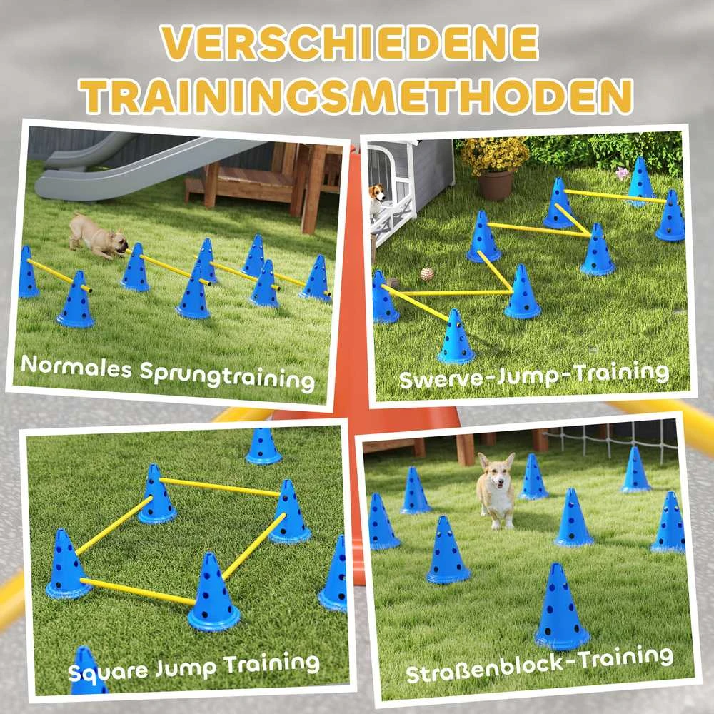 Agility rinkinys mėlyna ir geltona