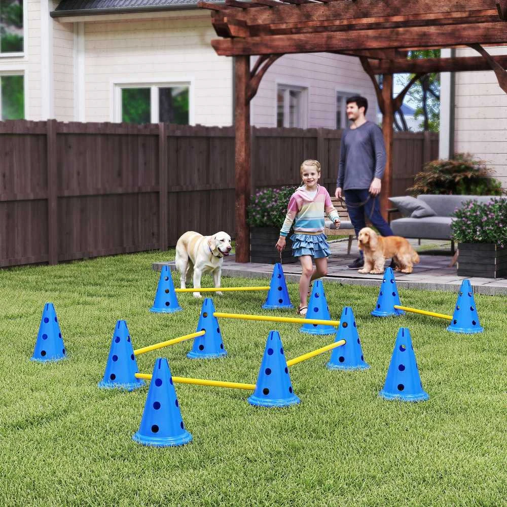 Agility rinkinys mėlyna ir geltona