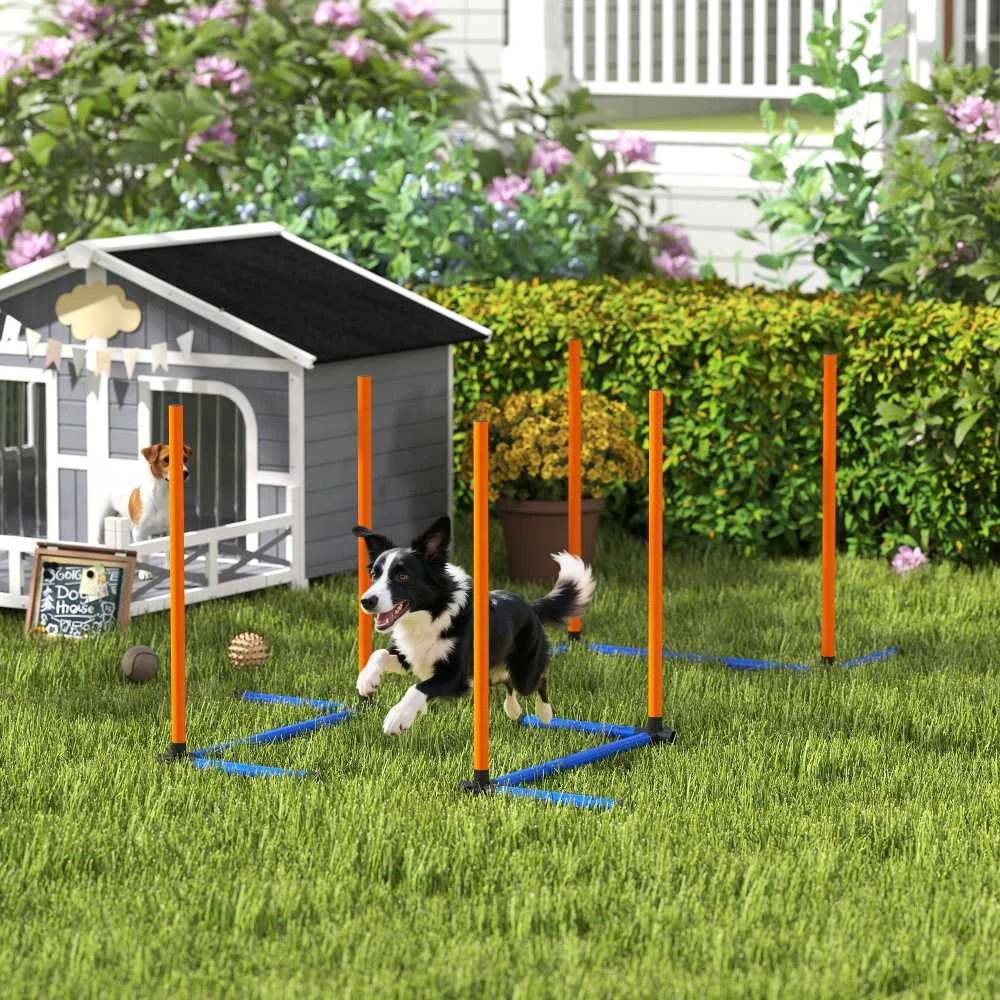 Agility rinkinys Oranžinė+Mėlyna+Juoda 3 vnt.