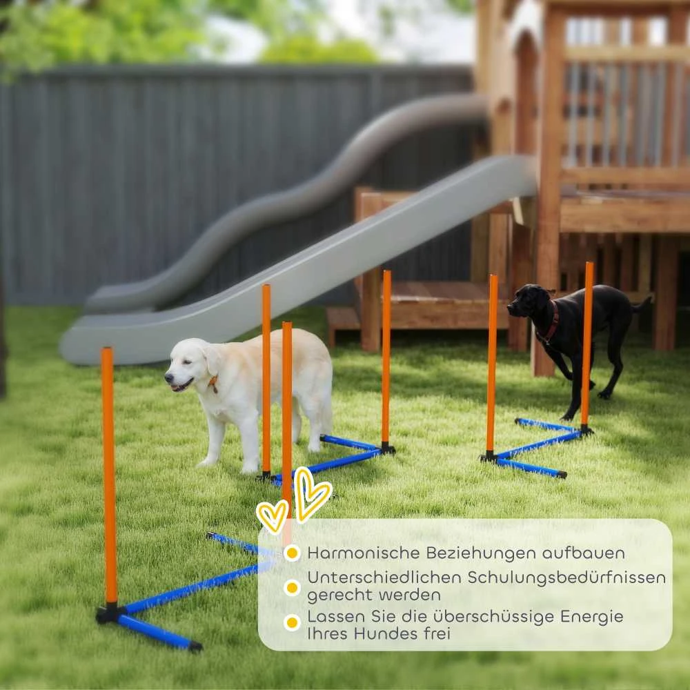 Agility rinkinys Oranžinė+Mėlyna+Juoda 3 vnt.