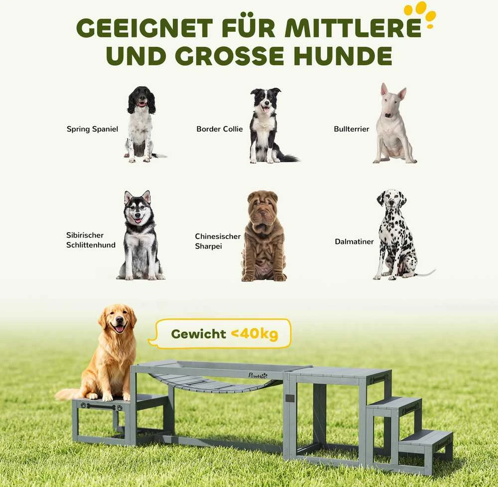 Agility rinkinys pilkas