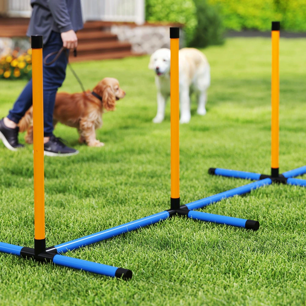 PawHut 9 dalių šunų vikrumo (agility) rinkinys, dresavimo įranga su barjerais, slalomo stulpeliais, šuolių lanku ir 2 kamuoliukais, reguliuojamo aukščio, koordinacijos lavinimui