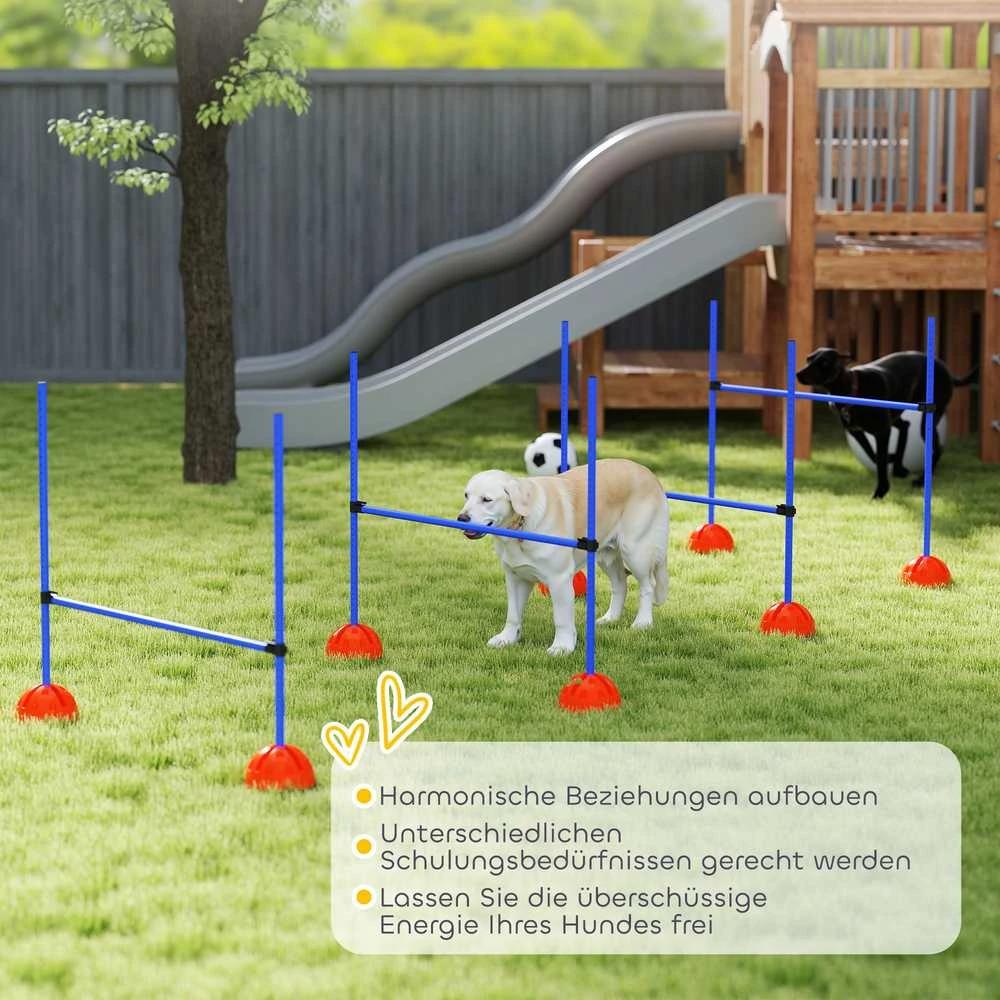 Agility rinkinys šunims oranžinė ir mėlyna