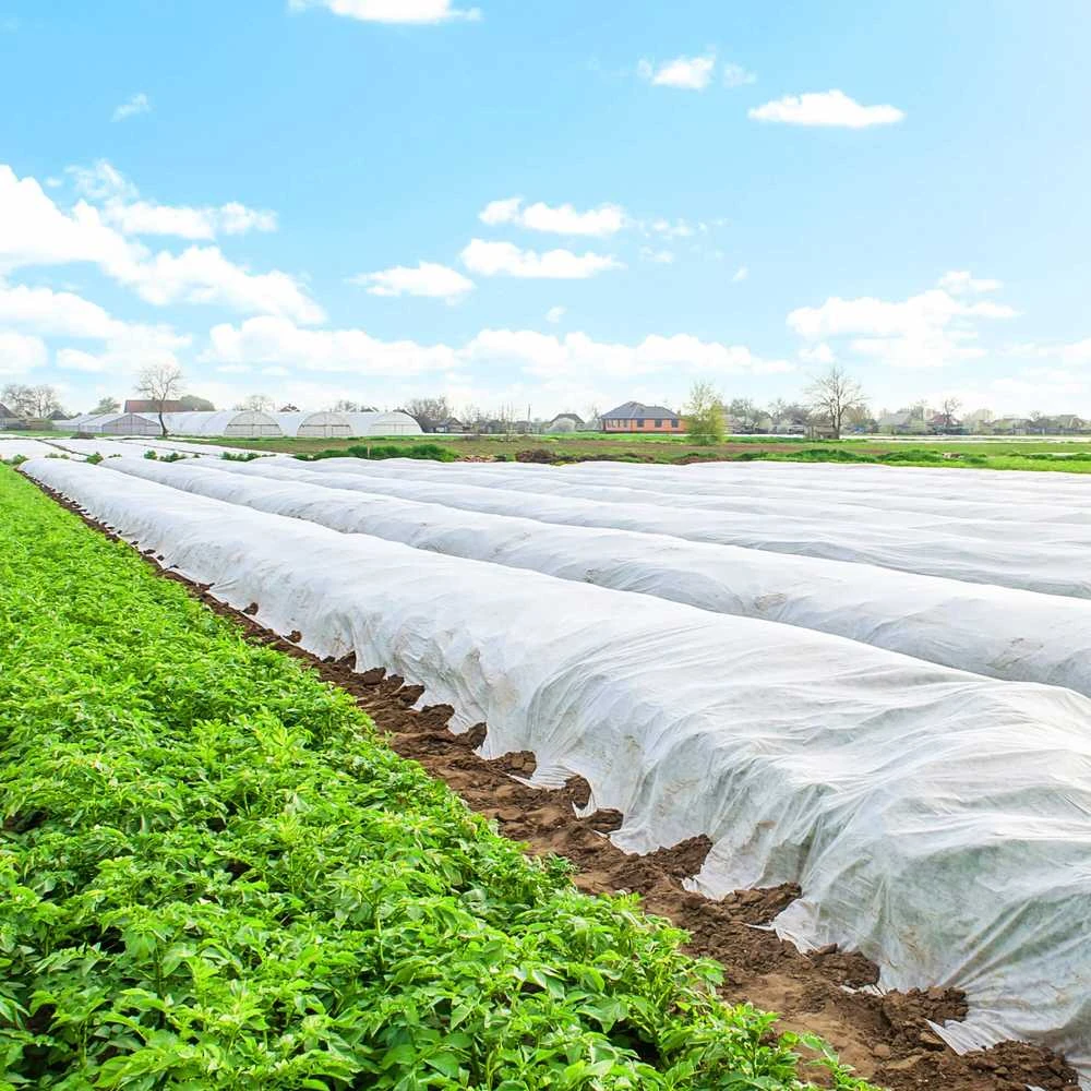 Agrotekstilė Springos AG0015 17g/m2 5x1,6m