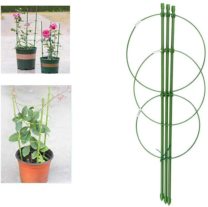 Augalų atrama žiedinė 60cm žalia