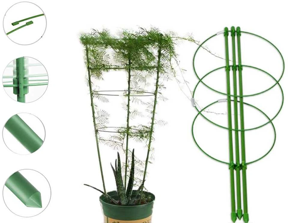 Augalų atrama žiedinė 60cm žalia